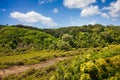 A drying river bed surrounded by thick vegetation and forest covered hills. Auckland, New Zealand Royalty Free Stock Photo