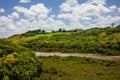 A drying river bed surrounded by thick vegetation and forest covered hills. Auckland, New Zealand Royalty Free Stock Photo