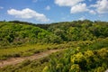 A drying river bed surrounded by thick vegetation and forest covered hills. Auckland, New Zealand Royalty Free Stock Photo