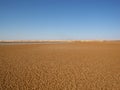 Drying salt lake Birket Zeitun, Siwa oasis, Egypt. Royalty Free Stock Photo