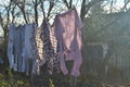 Freshly washed shirts hanging on the line and drying in the open air on sunny winter day. Rural scene.