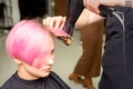 Drying short pink hair of young caucasian woman with a black hairdryer and black round brush by hands of a male Royalty Free Stock Photo