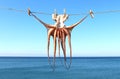 Drying squid, sea in background