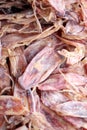 Drying squid in preservation of foods.