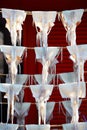 Drying Squid under Sunlight in Hokkaido, Japan