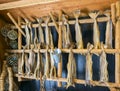 Drying stockfish cod in authentic traditional fishing village. Lofoten islands, Norway