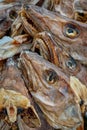 Drying stockfish cod heads in Reine fishing village in Norway Royalty Free Stock Photo