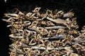 Drying stockfish