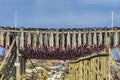 Drying stockfish - Gimsoy, Lofoten Island, Norway Royalty Free Stock Photo