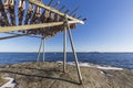 Drying stockfish hanging on traditional wooden rack