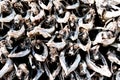 Drying stockfish in lofoten islands