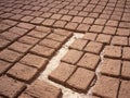 Drying straw reinforced mud bricks Royalty Free Stock Photo