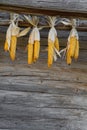 Drying Sweetcorn