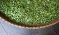 Drying tea leaves in the bamboo basket Royalty Free Stock Photo