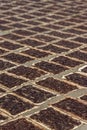 Drying vanilla