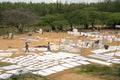 Drying washing - Chettinad - Tamil Nadu - India