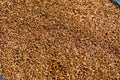 drying of whole cumin seeds in the sun rays in india