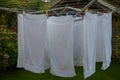 Drying your white laundry towels Royalty Free Stock Photo