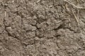 Dryland or wasteland soil