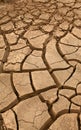 Dryness Royalty Free Stock Photo