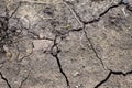 Dryness. Dry ground cracked because of pollution and global warming