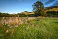 Drystone Wall in College Valley at Hethpool Royalty Free Stock Photo