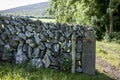 The Drystone wall