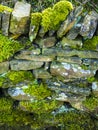 Drystone wall covered in moss in Lancashire