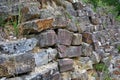 Drystone wall in a garden Royalty Free Stock Photo