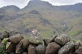 Drystone wall in Great Langdale