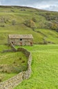 Drystone wall, leading to traditional stone barn. Yorkshire Dales. Royalty Free Stock Photo