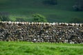 A drystone wall near to the Yorkshire Dales Village of Burnsall