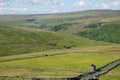 Drystone Walls, Barns in Upper Swaledale, The Yorkshire Dales, North Yorkshire, England