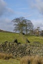 Drystone Walls lined up in various directions separating the Rough Pasture from the Moors Royalty Free Stock Photo