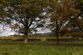 Drystone walls in the Scottish Countryside Royalty Free Stock Photo