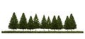 3ds rendering image of front view of pine trees on grasses field