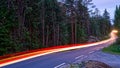 Light trails on a road along side a forrest Royalty Free Stock Photo