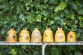 A row of vintage honeypots