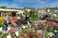 France market day Town of Boussac People buying flowers Royalty Free Stock Photo