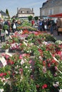 France market day Town of Boussac People buying flowers Royalty Free Stock Photo