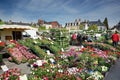 France market day Town of Boussac People buying flowers Royalty Free Stock Photo