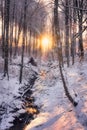 Snow-covered landscape in winter. Trees in the frozen forest with cold ice water creek and the winter sun in December.