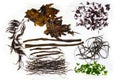 Various edible seaweed algae isolated on white background Royalty Free Stock Photo