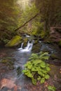 Bila Opava river in Jeseniky mountains and waterfall. Royalty Free Stock Photo