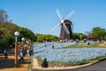 Visitors stroll near the windmill hill and nemophila flower beds at Tsurumi Ryokuchi Park, Osaka. Royalty Free Stock Photo