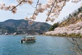 Tourists kayaking on Lake Biwa during Kaizu Osaki cherry blossom season. Takashima, Shiga, Japan. Royalty Free Stock Photo