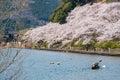 Tourists kayaking on Lake Biwa during Kaizu Osaki cherry blossom season. Takashima, Shiga, Japan. Royalty Free Stock Photo