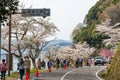 Crowded road with tourists and traffic at Kaizu Osaki cherry blossom festival. Shiga, Japan. Royalty Free Stock Photo