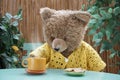 Seated Teddy bear having hot drink and cookies at a bistro table Royalty Free Stock Photo