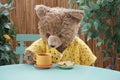 Seated Teddy bear having tea and cookies at a bistro table Royalty Free Stock Photo